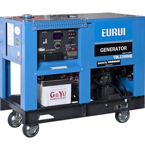 東洋柴油17.5KW單相發電機TDL22000E